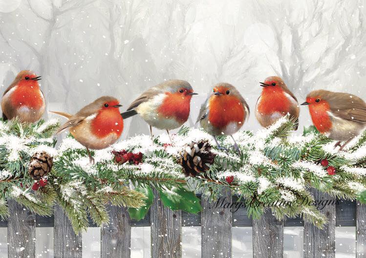 261084322_3065013483736448_7965047766156451489_n