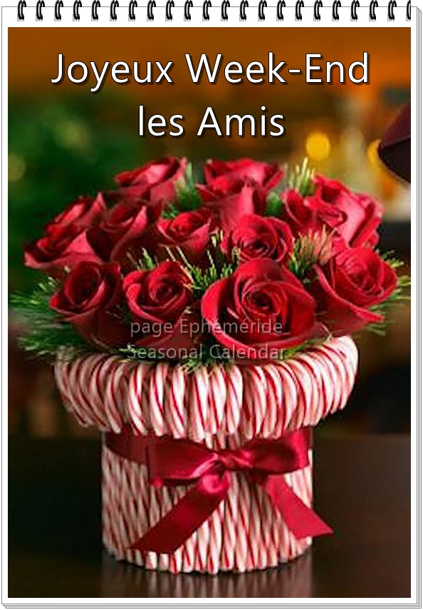 261216370_4828640927185965_649286079803416921_n