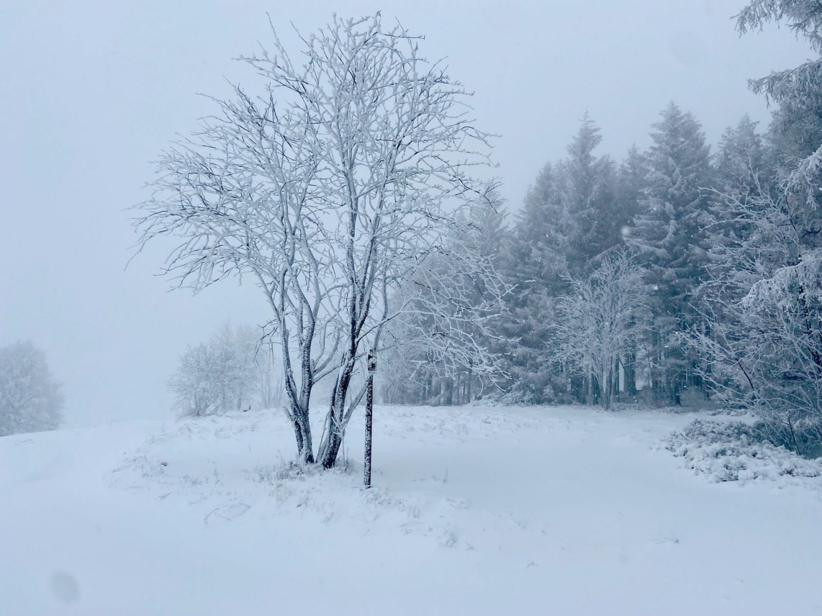 262445868_2468037113326213_1281998482138000654_n