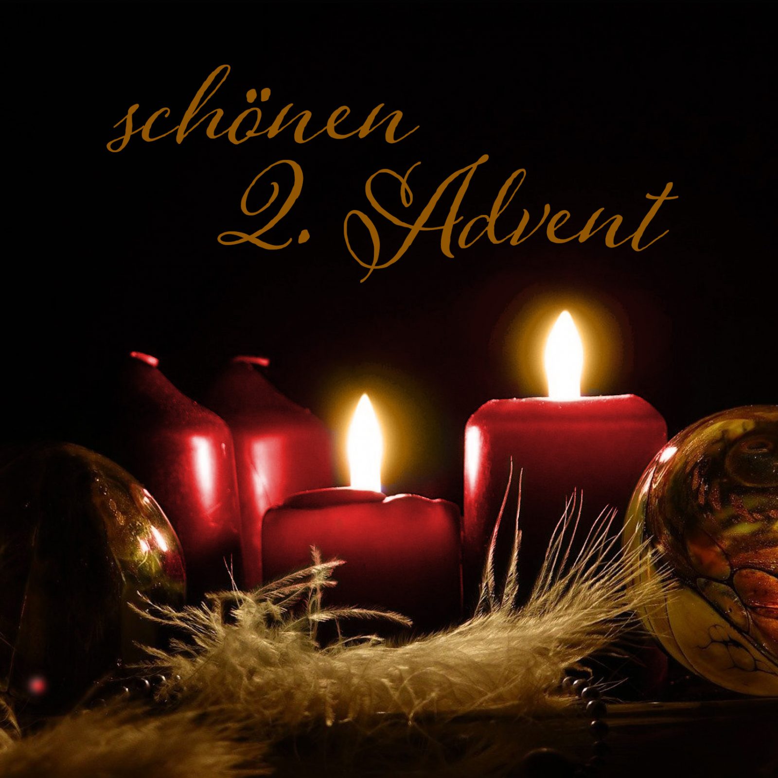 262514630_442961210526416_3501768932651130845_n (1)