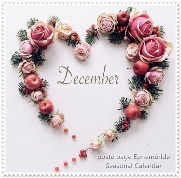 262956923_4845221192194605_2107776556217884334_n