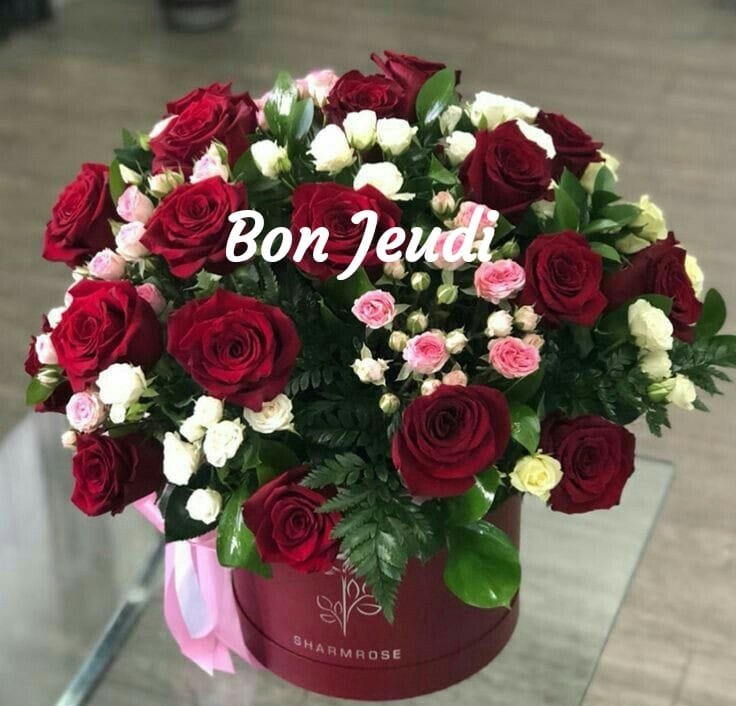 263081089_4849981521718572_6617334294481592041_n