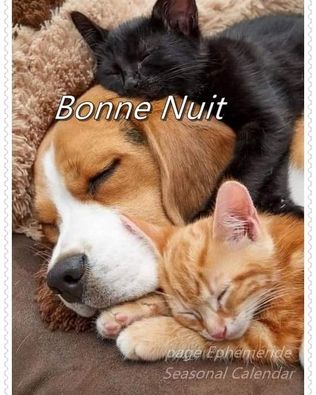 263169534_4851904438192947_1732749949897160344_n