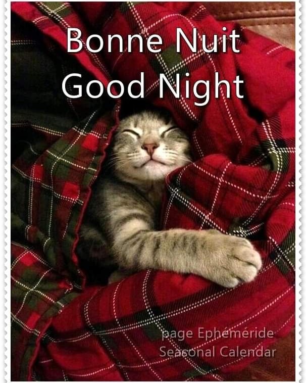 263370613_4851902584859799_8055136203550299029_n