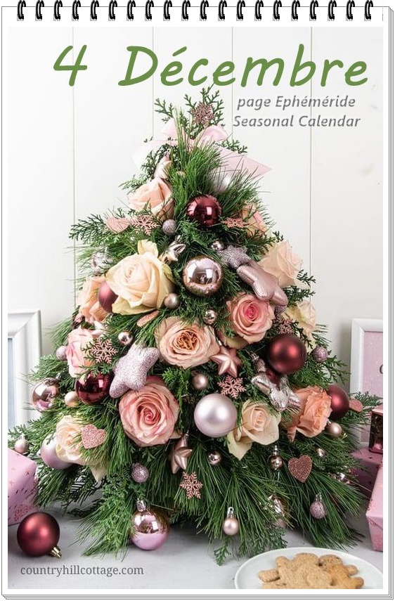 263581177_4855709431145781_3300045612270262779_n