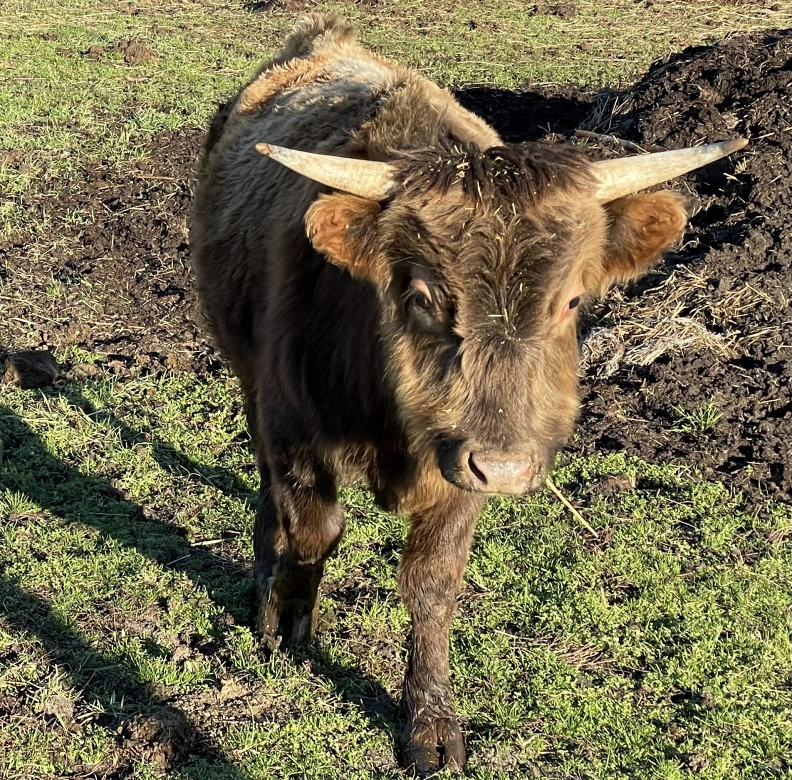 2638A29A-3592-41F0-B16C-698BCA5B2F62