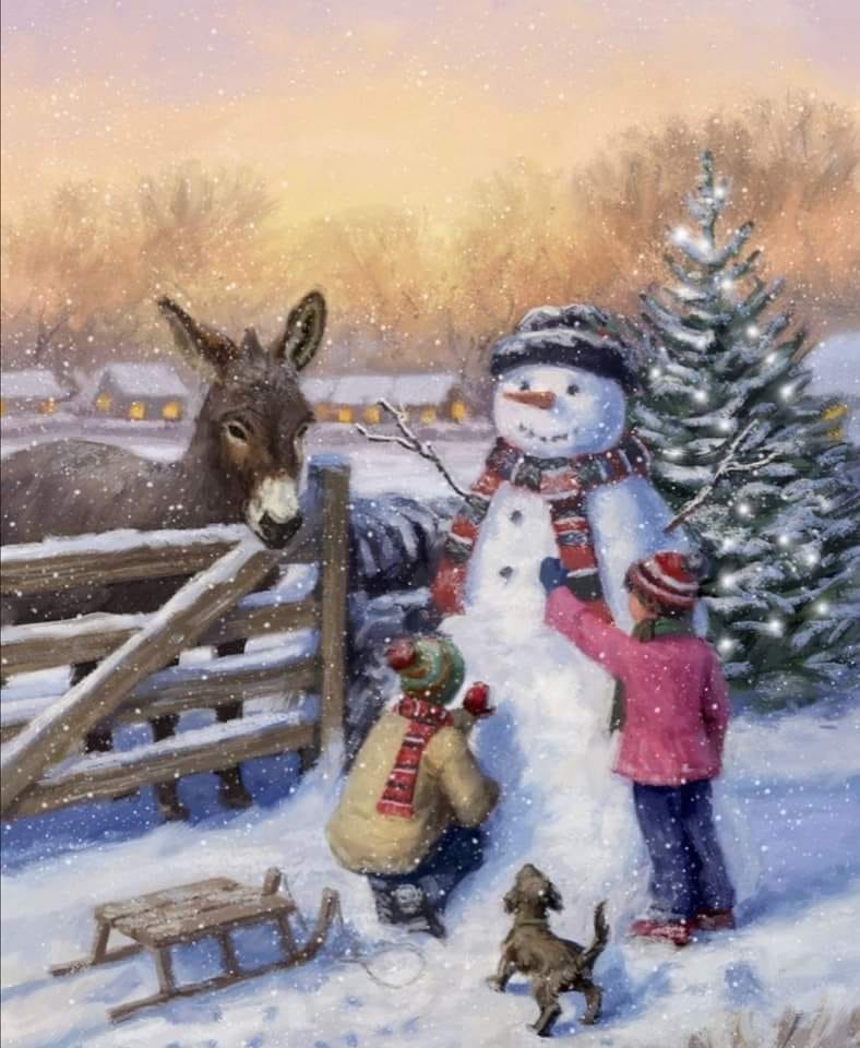 264191081_2040186409463561_936724858776784353_n