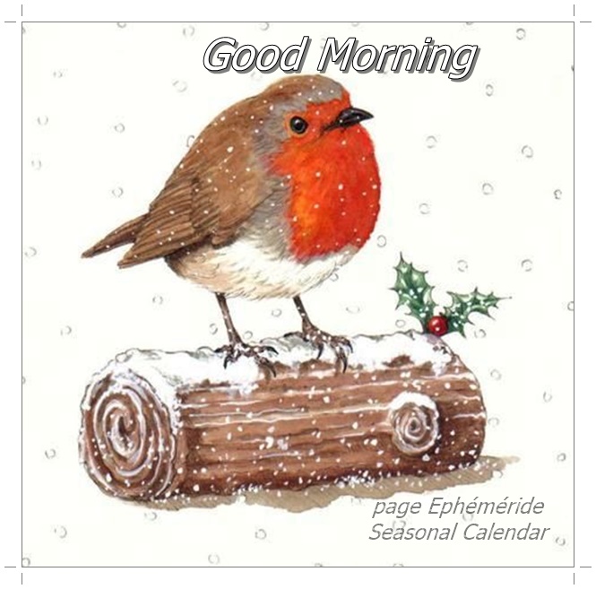 264550755_4862556007127790_8016758403096315407_n