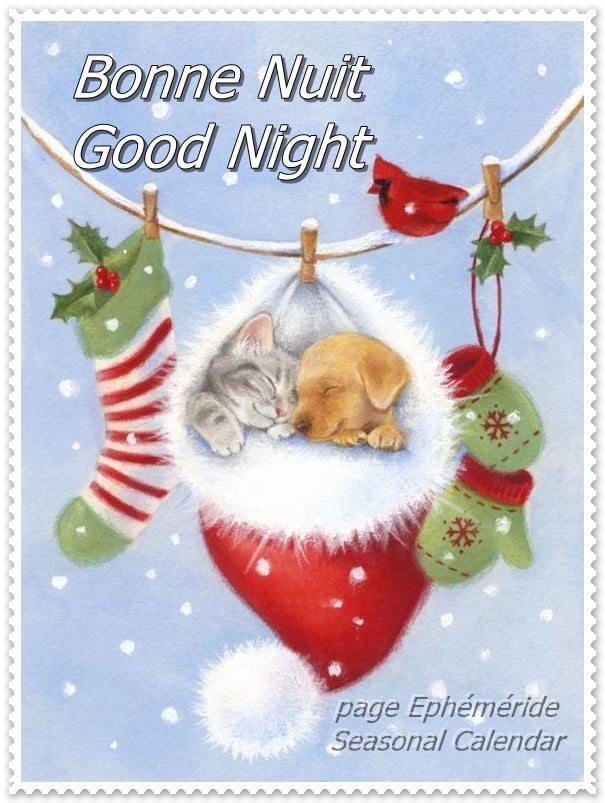 264643117_4865431356840255_7871805472948454455_n