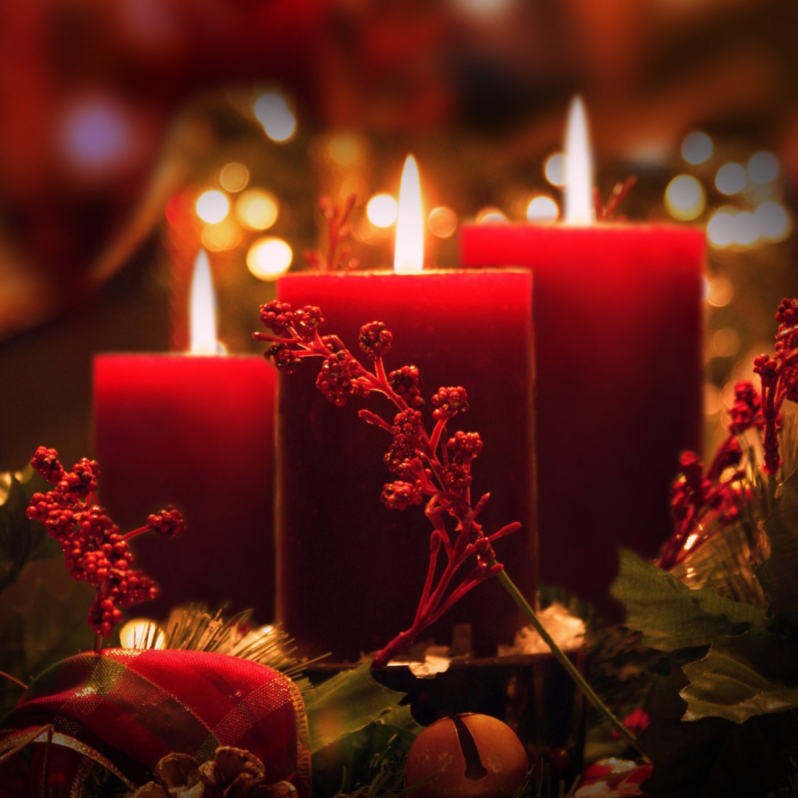 264786742_446939980128539_1443003604760814129_n