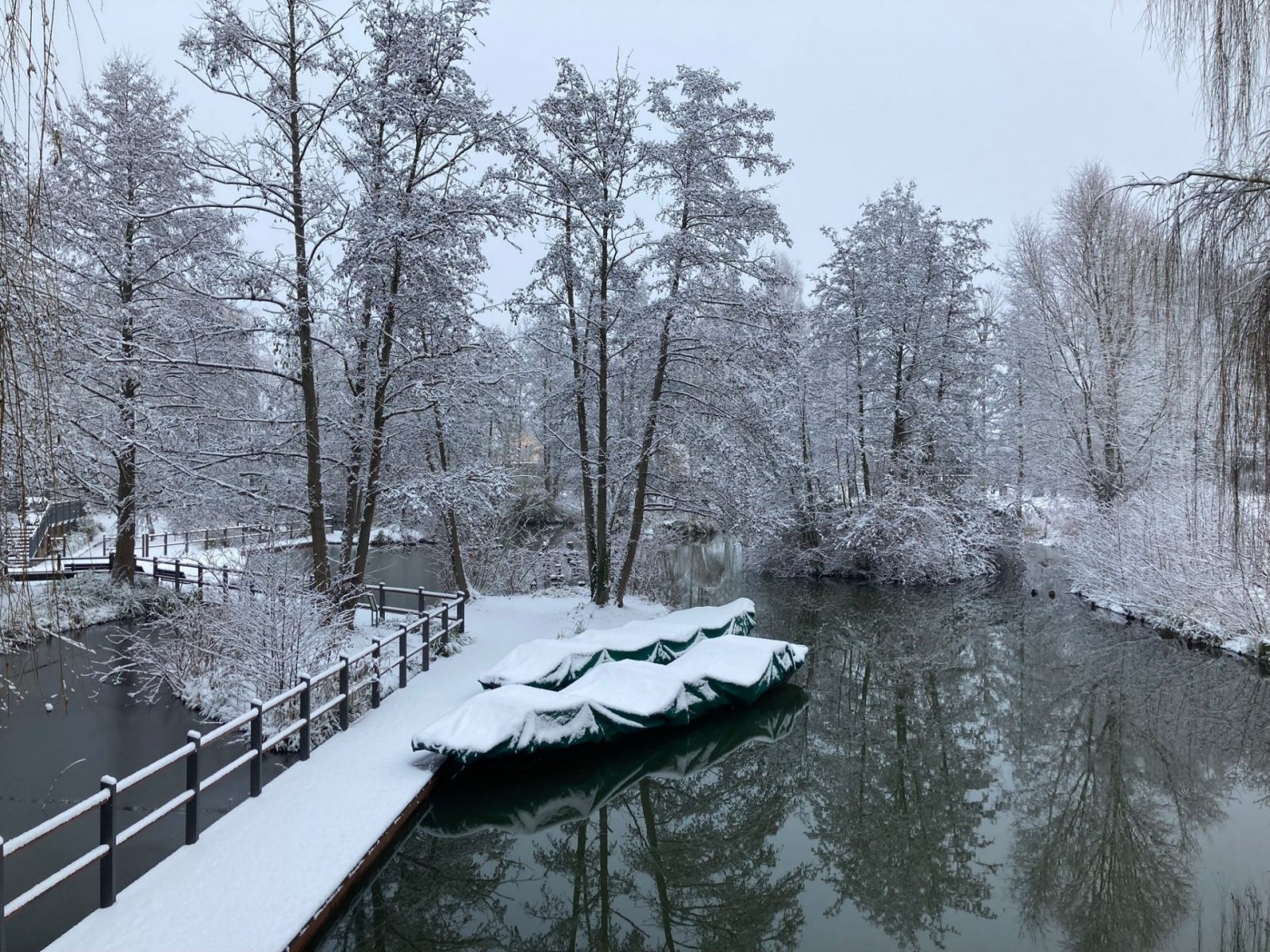 265136989_4650184118410098_5533753304237344240_n