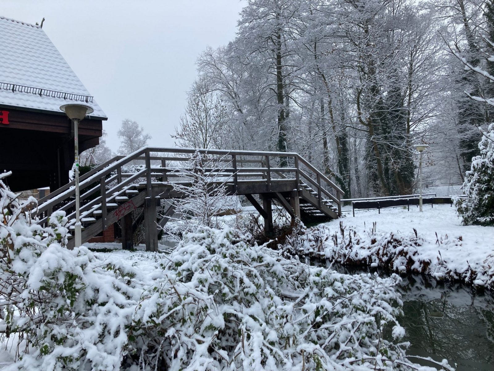 265164387_4650187008409809_1714148154398735249_n