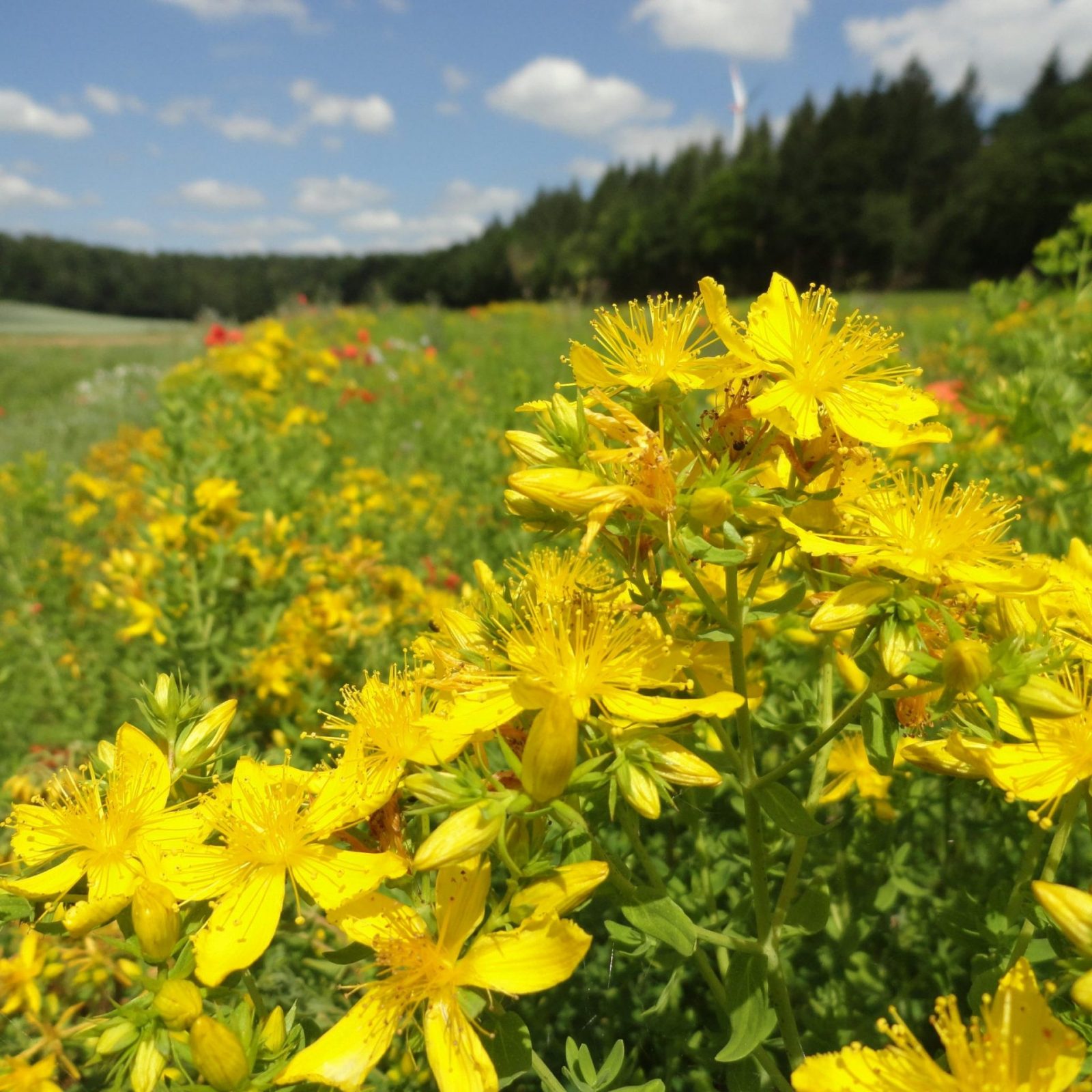 265238143_23849614310920391_6029998546052997310_n