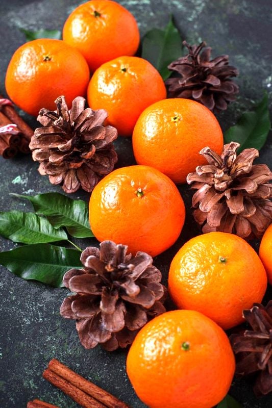 265613474_4878222185561172_8404522784525299_n