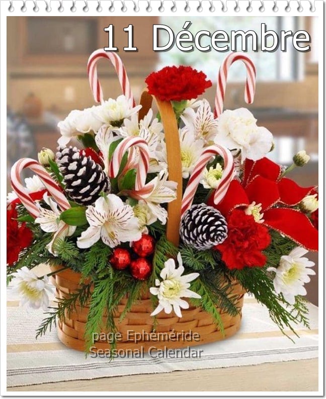 266013254_4879763265407064_7735525175444120245_n