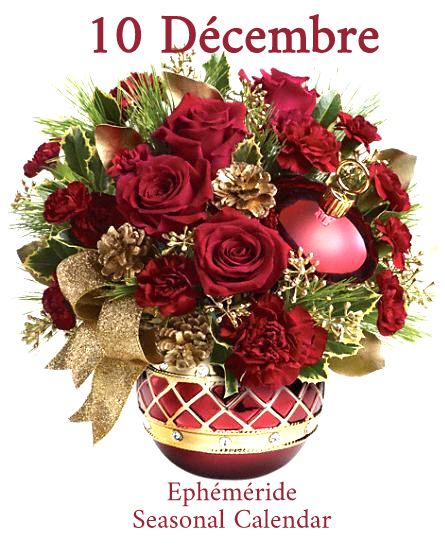 266020779_4876375329079191_1897953279078640099_n