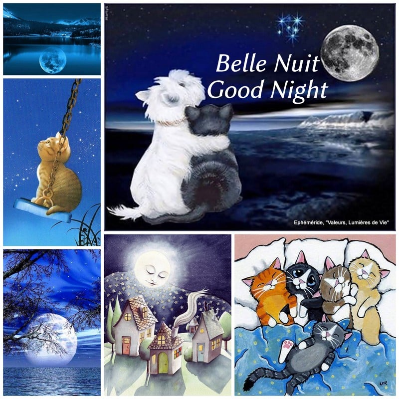 266057894_4879255568791167_4355267096312114086_n