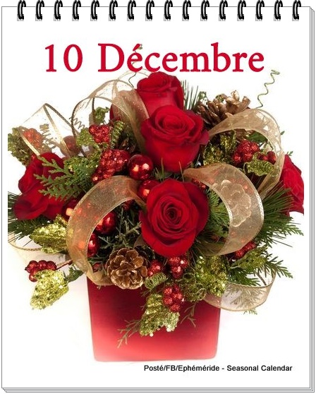 266089857_4876399632410094_3464410375522256938_n