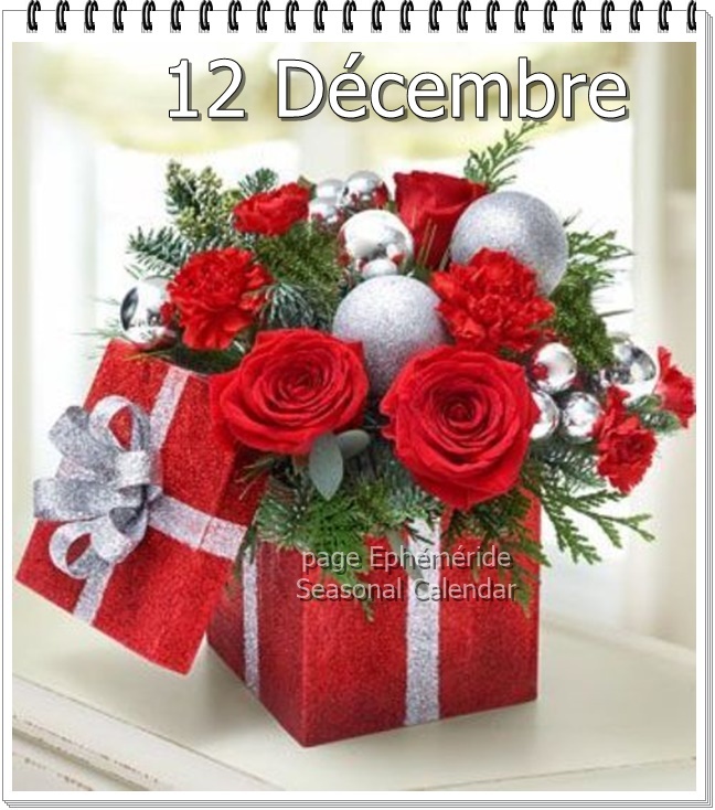 266463355_4883220025061388_5409069794744183124_n