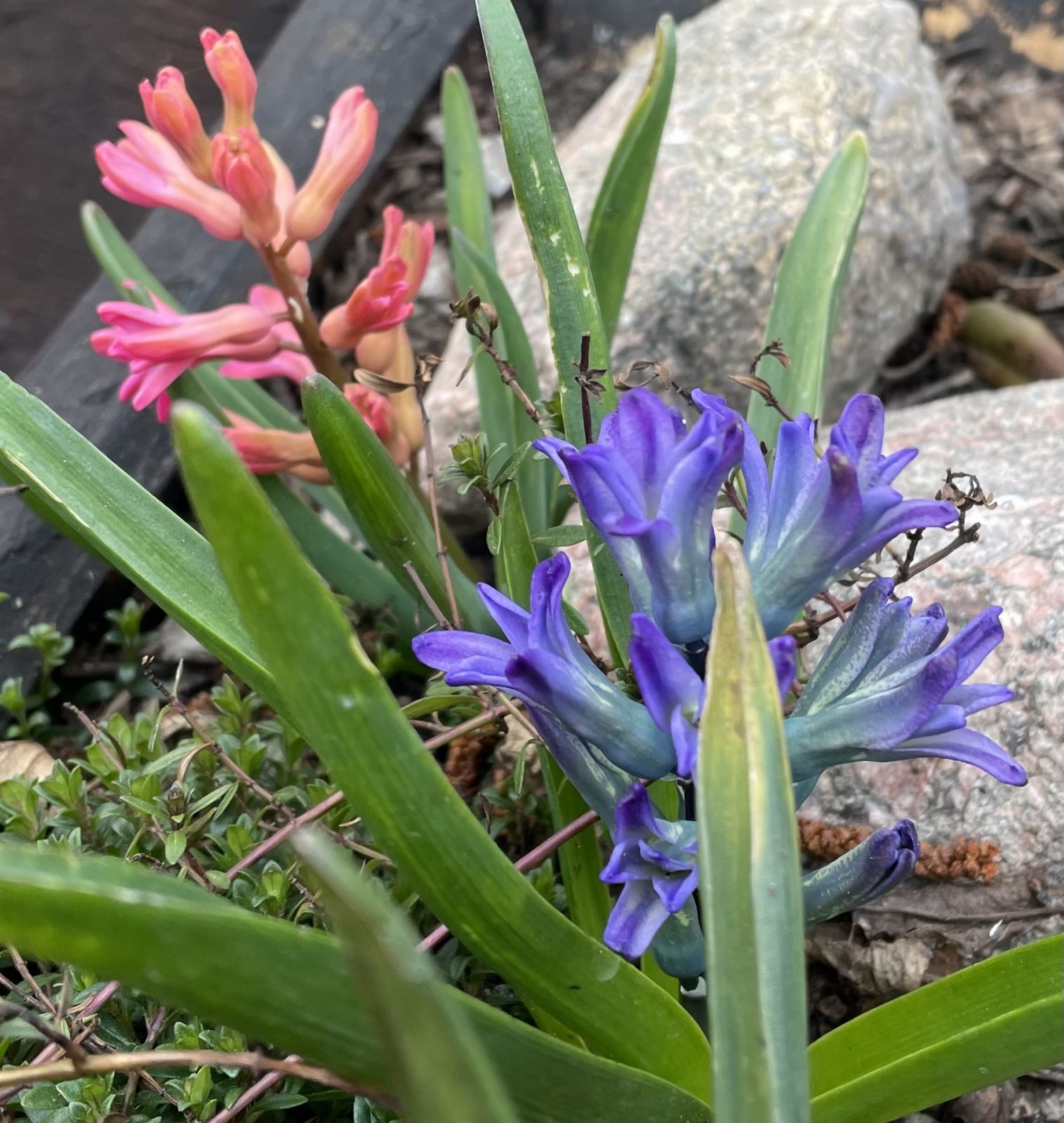 26721422-5918-4725-8915-3A14614D5622