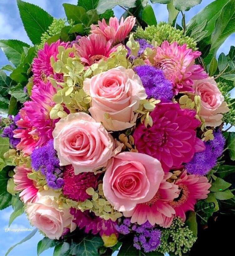 267565042_3075529112684885_1227693120922425506_n