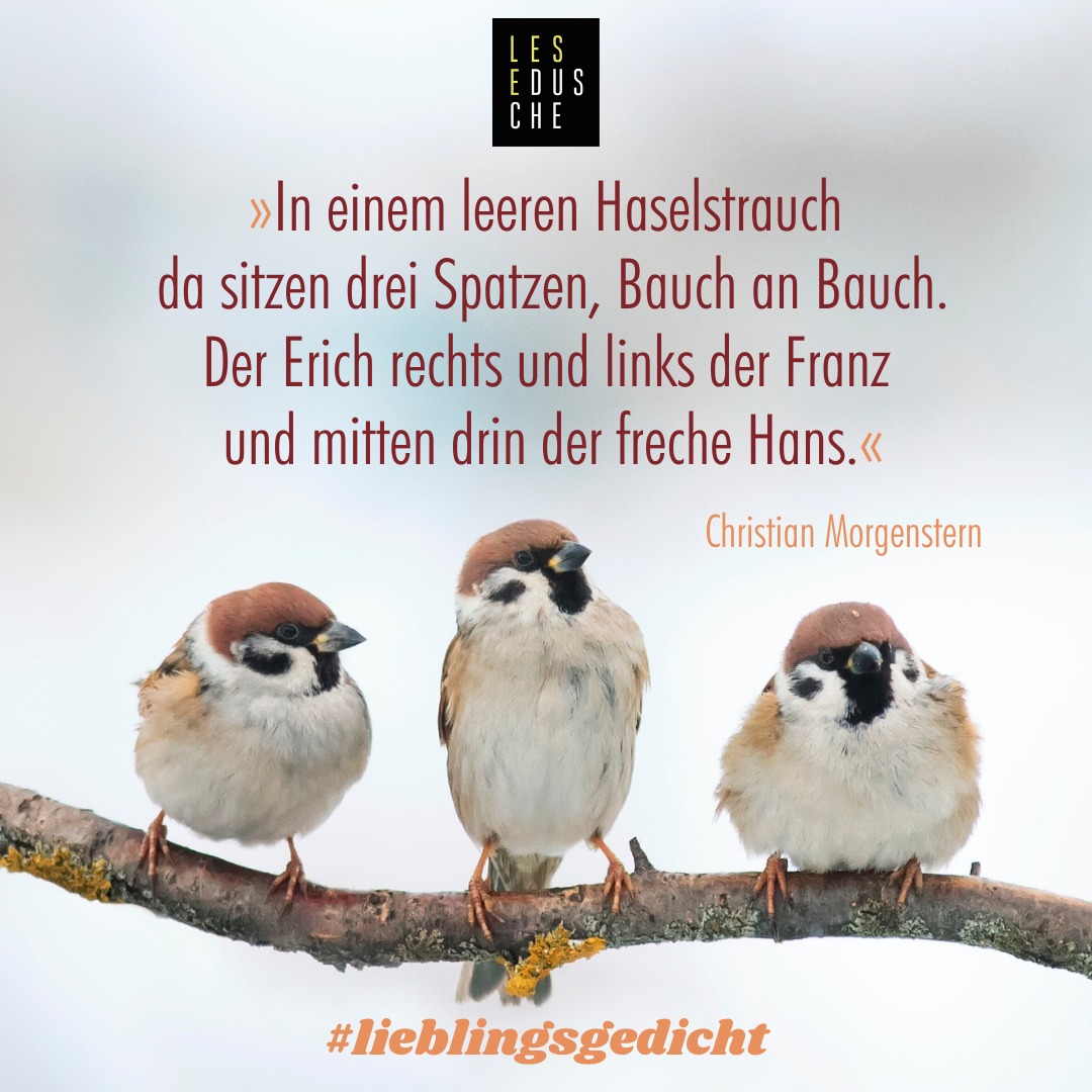 267626268_387811806366583_7784868539829424652_n