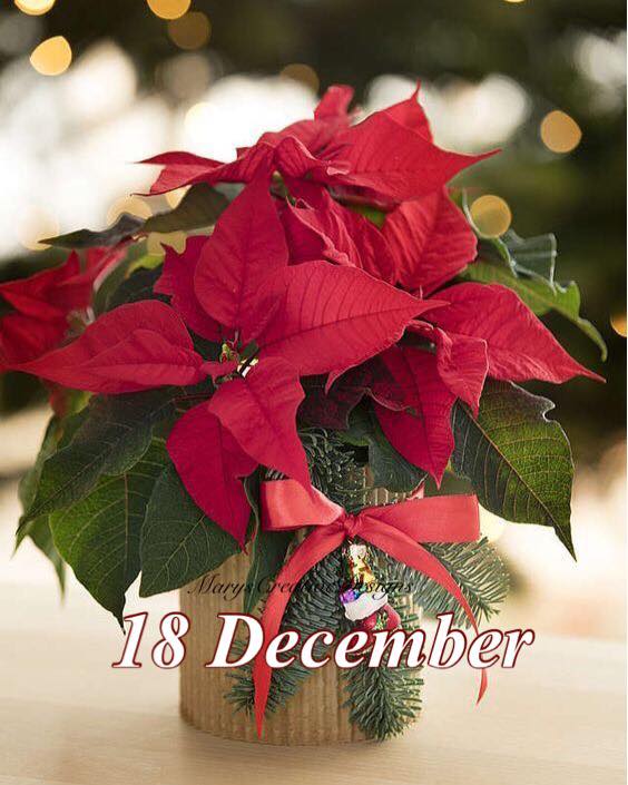 267716524_3078258619078601_2913421994663894951_n (1)