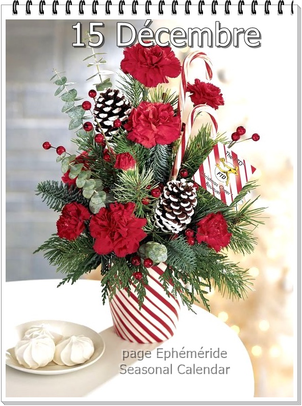 267720990_4892939600756097_6587877980412342319_n