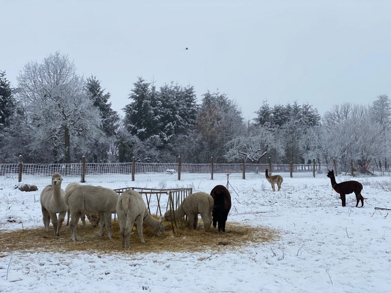 267812498_4666306913464485_2888953507334976556_n