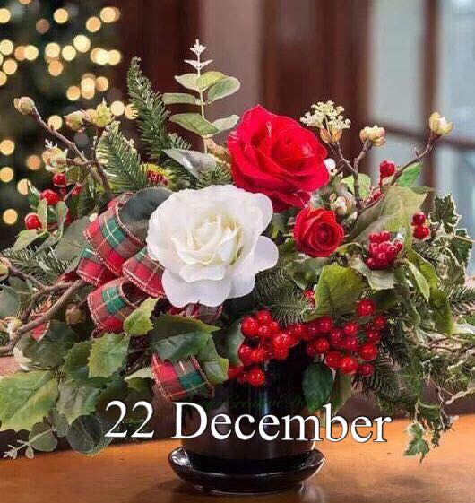 268289647_3081529422084854_4248703048043047046_n (1)