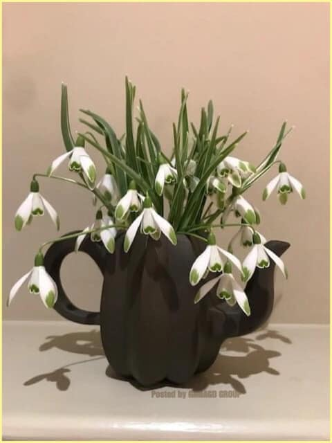 269652044_4909014665818018_7793217477859982365_n