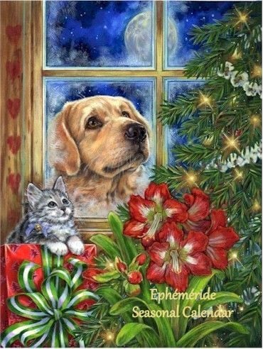 269936554_4942272295822827_2332775090855736878_n