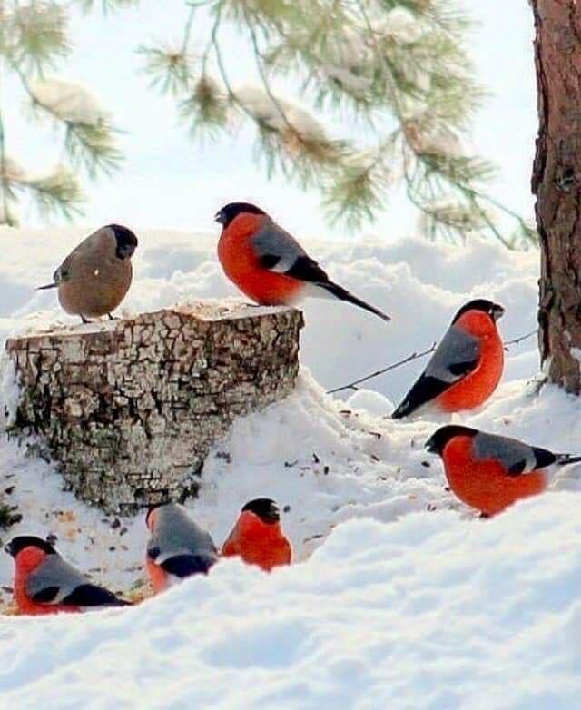 269992596_3096760960561700_3653593394527762639_n