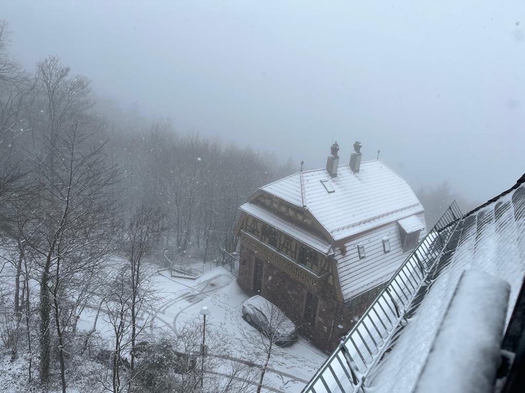 269A87B6-81F9-4E12-8597-576E8D3BB817