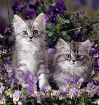 270017690_3095844493986680_4774375211763797598_n-1