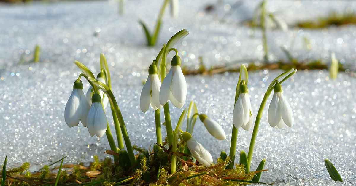 270127394_23849534205870611_8861770853000046925_n