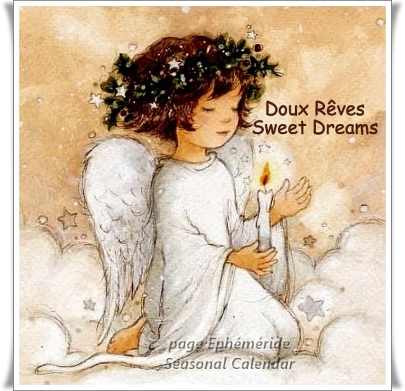 270129692_4952356158147774_4189229672989992842_n