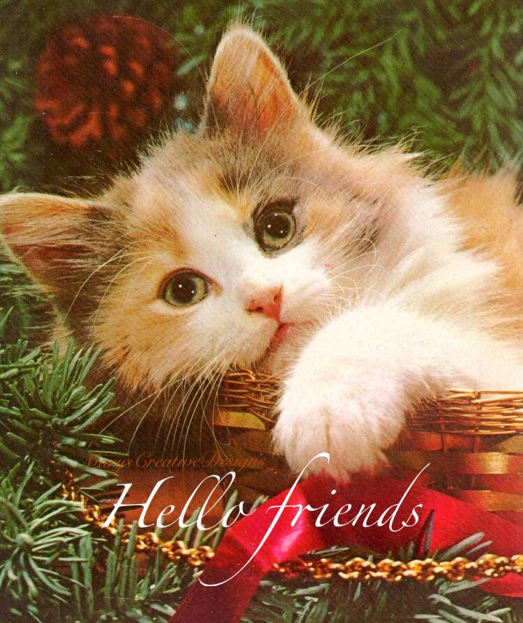 270131505_3092096317694831_9009611251377886874_n