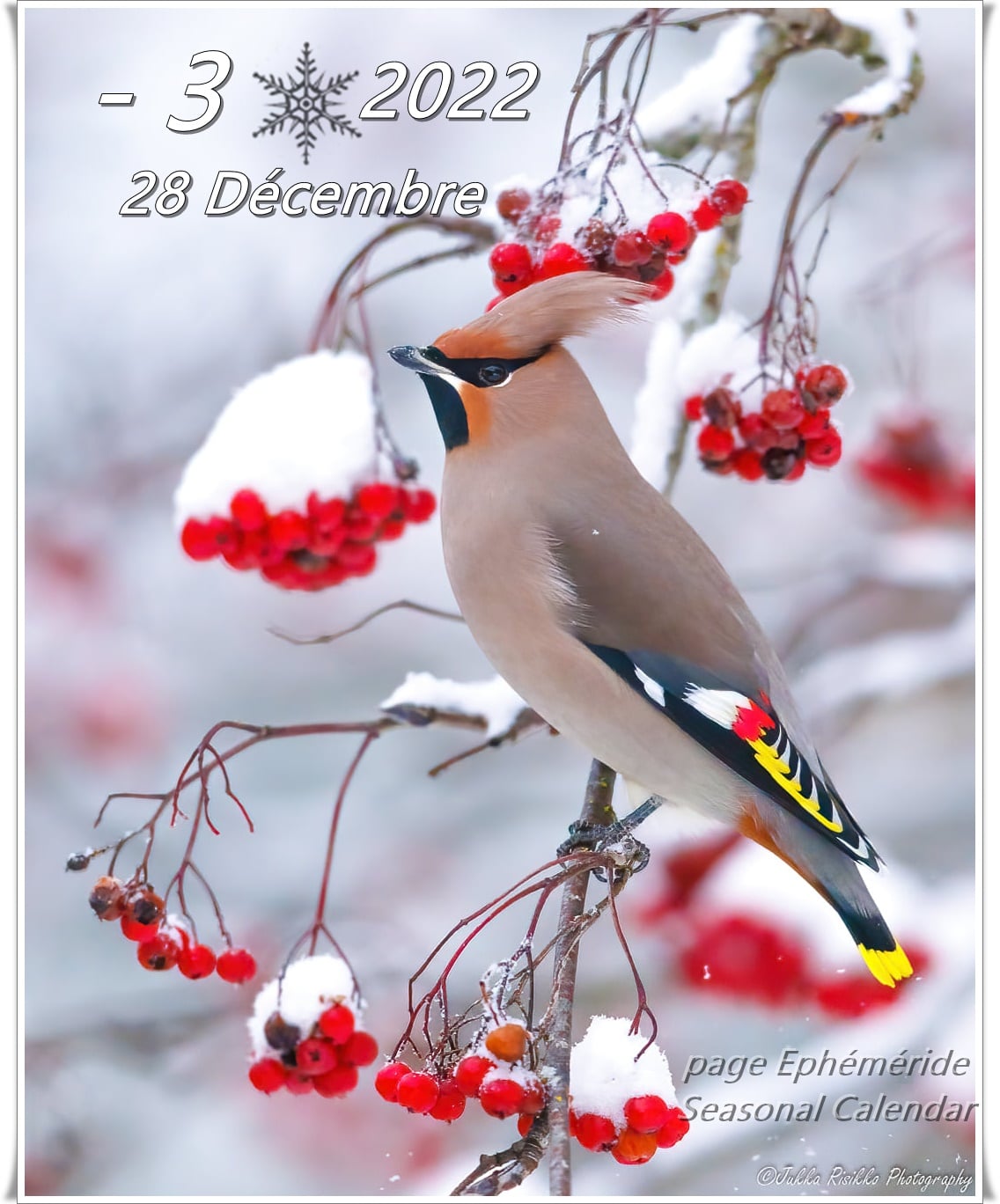 270131510_4952649508118439_3351996236913832815_n