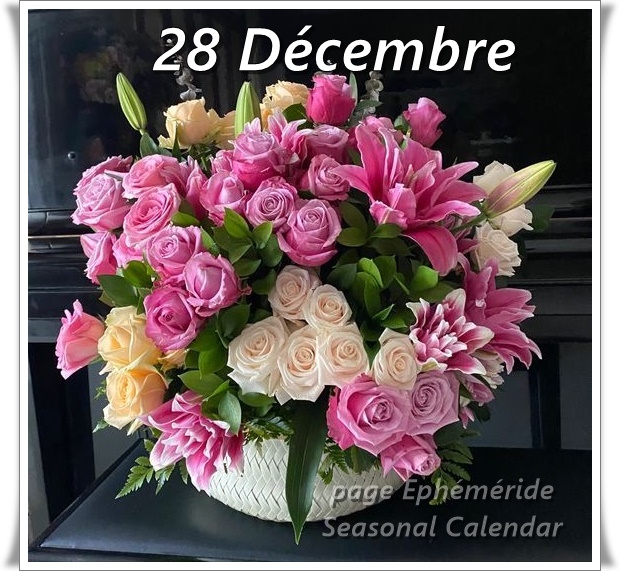 270152914_4952777848105605_5672509958603074070_n