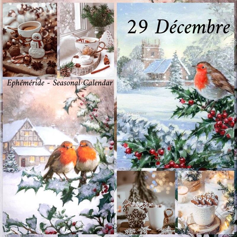 270232341_4955674957815894_7533660117824737187_n