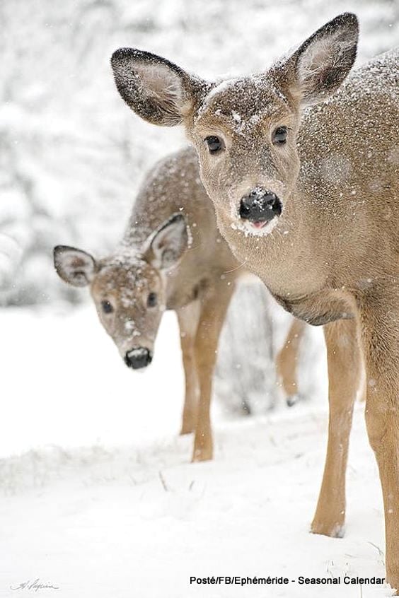 270261122_4957544674295589_4327228437840003646_n