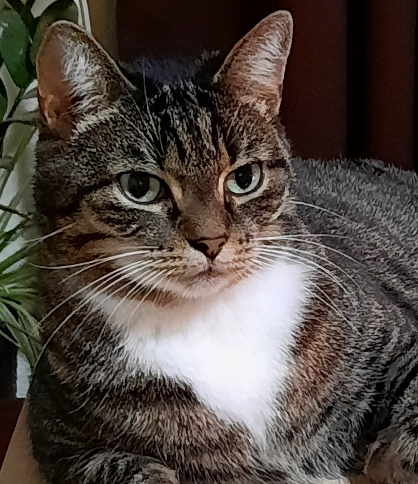 270735897_4662209857226435_2736176428096629338_n