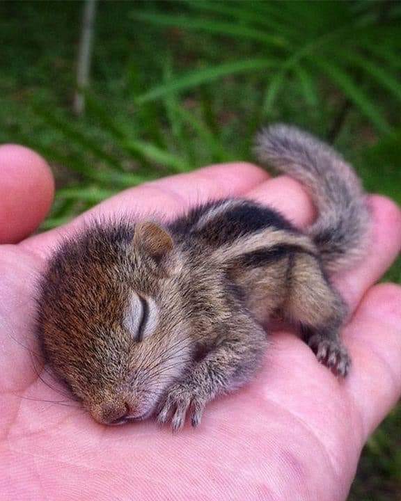 271149724_1379618362492466_8897655029098345847_n