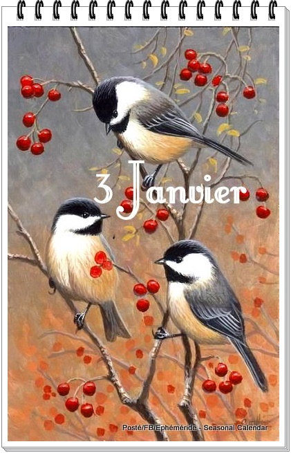 271157925_4971601179556605_3001951226016245880_n