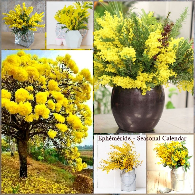 271186478_4973406726042717_2122434283308559436_n