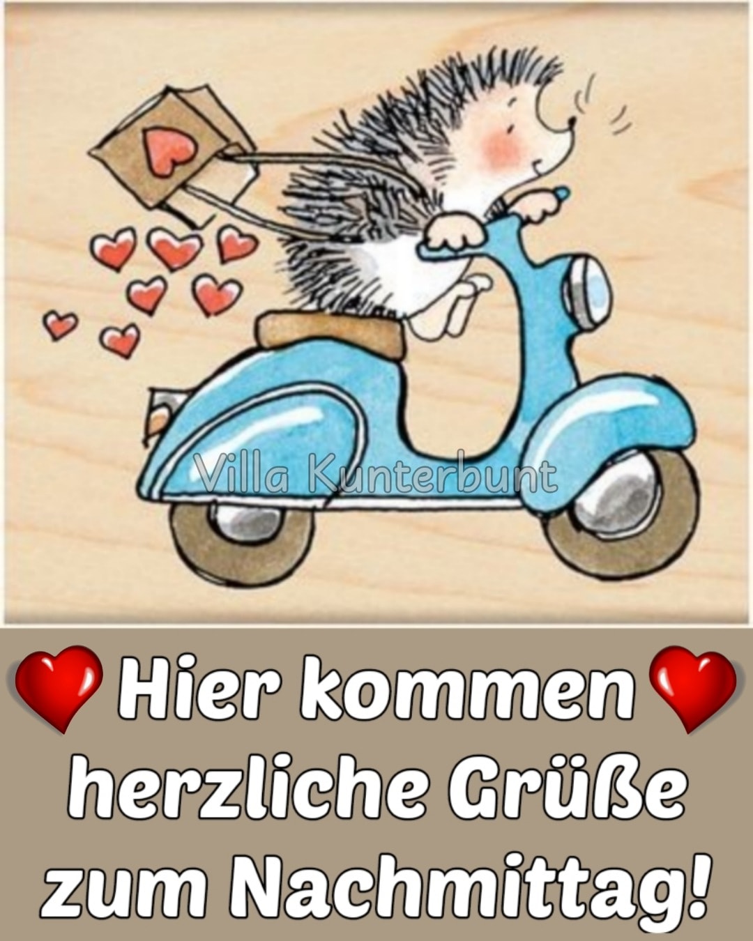 271246072_3159486794334111_5795003727924987128_n