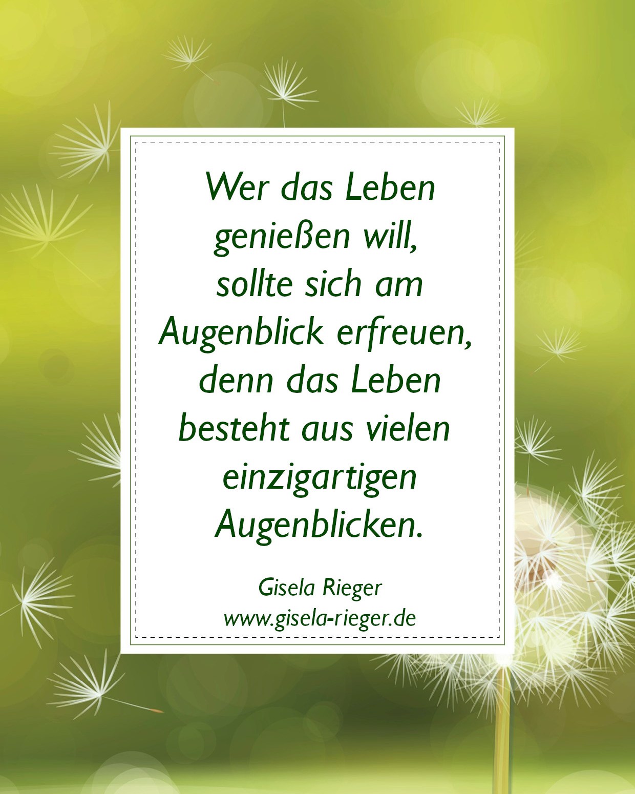 271274112_334279702031658_2142841002395717559_n