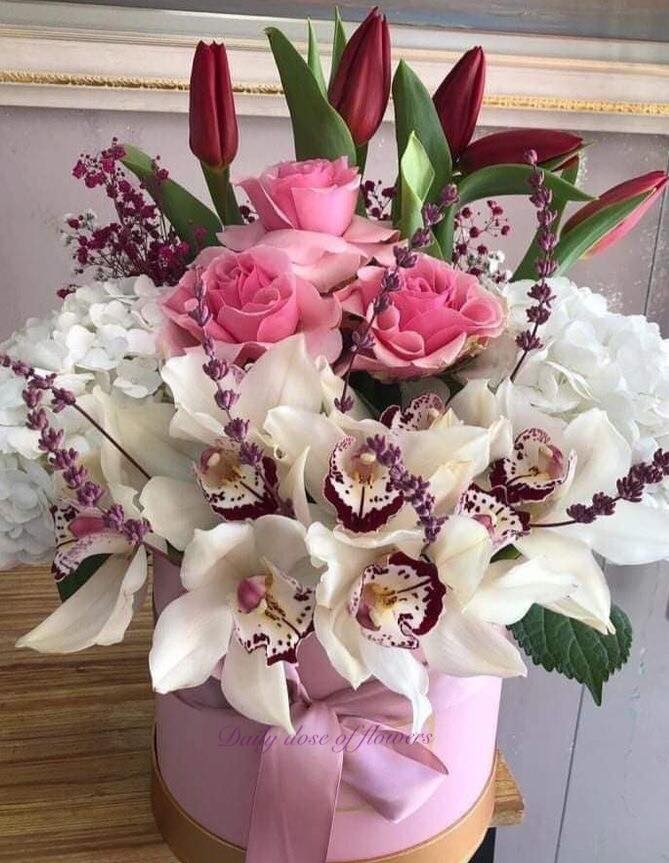 271282591_3208523019367294_1189319716304868816_n (1)