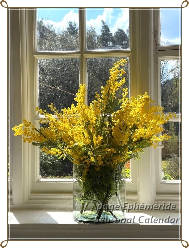 271435185_4982497635133626_5103064838035246524_n